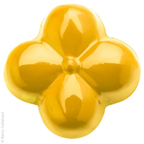 Yellow Power Flowers